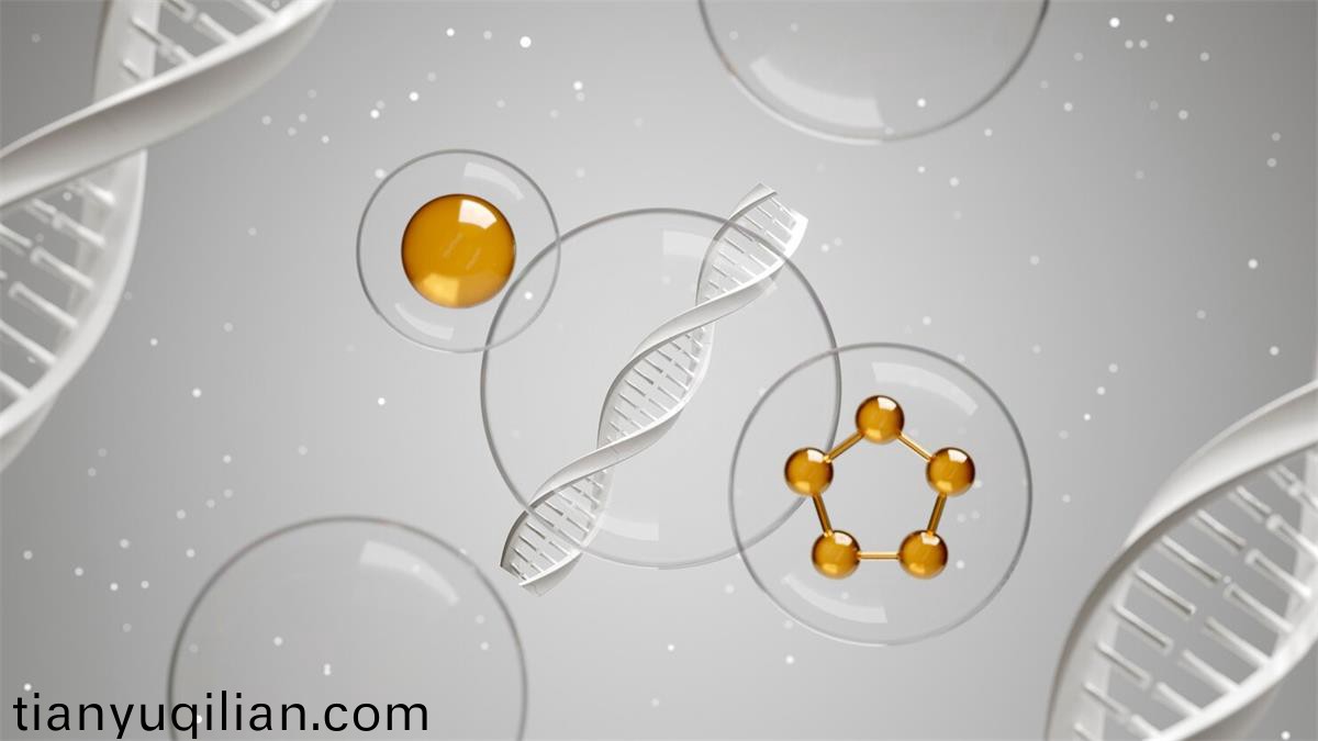 精(jing)胺(an)昰哪箇氨基痠轉(zhuan)化(hua)而來(lai)的