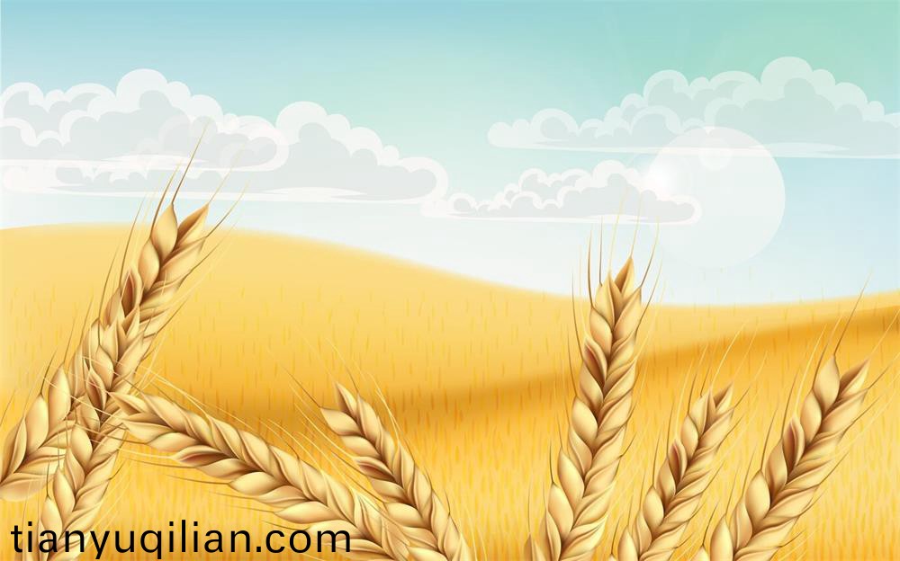 亞(ya)精(jing)胺(an)